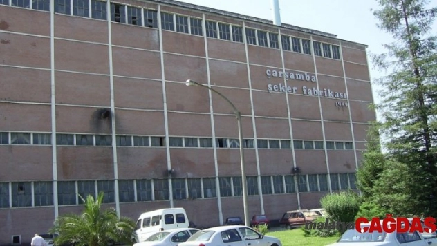 Çarşamba Şeker Fabrikası'nın yeniden faaliyete geçmesi gündeme geldi