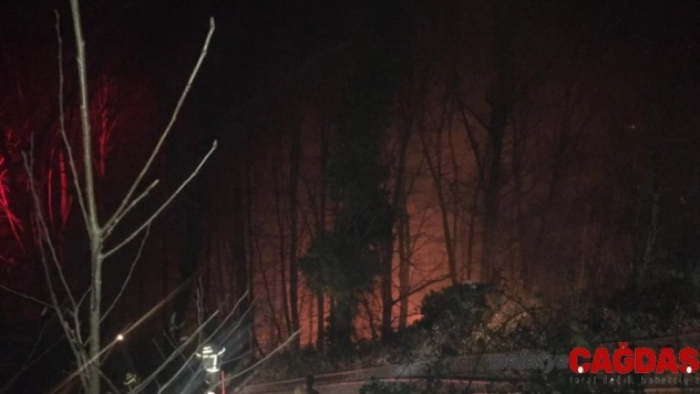 Çatalpınar'da orman yangını