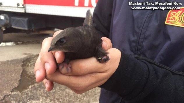 Çatıda mahsur kalan kuşları itfaiye kurtardı