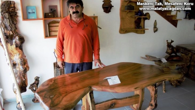 Ceviz ağacından çıktı, fiyatı yarım milyondan fazla