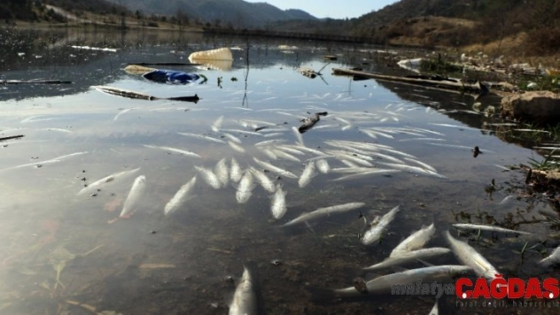 Çevre katliamına neden olan fabrikalara 360 bin TL ceza kesildi