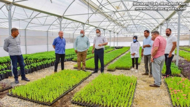 Ceylanpınar, Bitki Üretim Serası ile ile güzelleşiyor