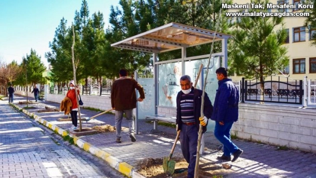 Ceylanpınar'da yeşil seferberlik