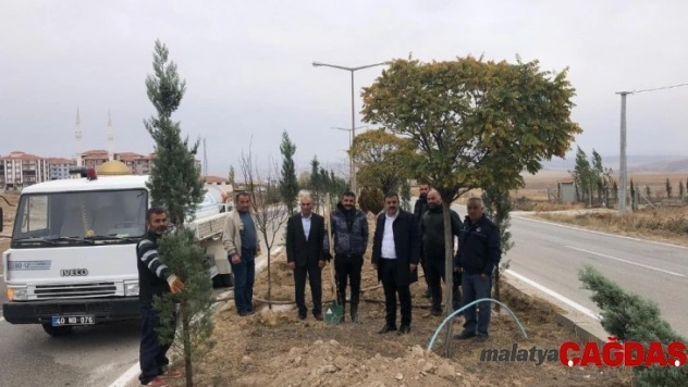 Çiçekdağı ilçesinde ağaçlandırma çalışmaları sürüyor