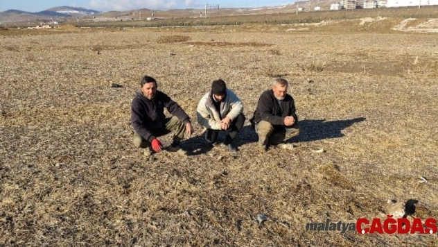 Çiftçi: 'Tarım Kredi Kooperatifi faizleri çok yüksek'