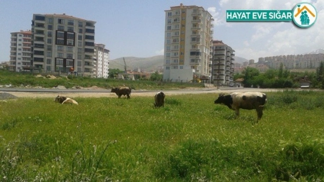 Proje başvuruları 7 Temmuz'a uzatıldı