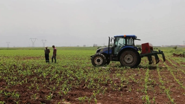 Çiftçilere 8,3 milyar TL destek ödemesi yapılacak