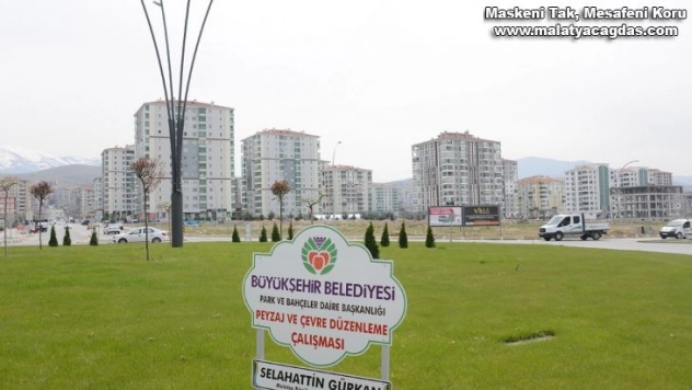 Çiftlik caddesi yeşillendirildi