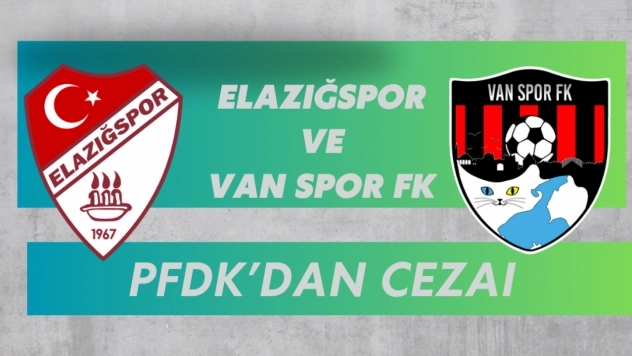 Çimentaş Elazığspor ve Artı Değer Van Spor'a Ceza Yağdı