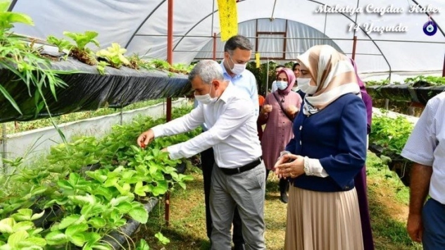 Çınar, kadın girişimcileri sera alanında ağırladı