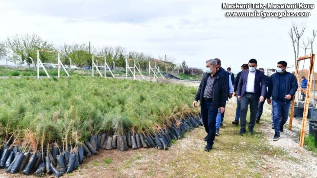 Çınar, Tepeköy fidanlık alanında ki çalışmaları inceledi
