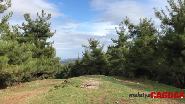 Cinayete kurban giden kayıp şahsın cesedi bulundu