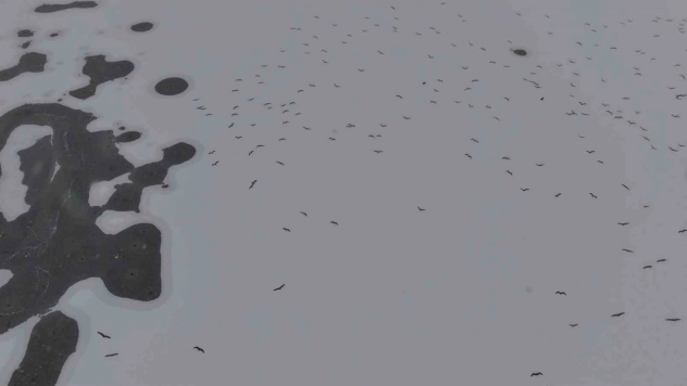 Cip Baraj Gölü buz tuttu