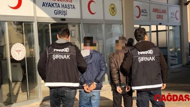 Cizre'de 1 torbacı tutuklandı