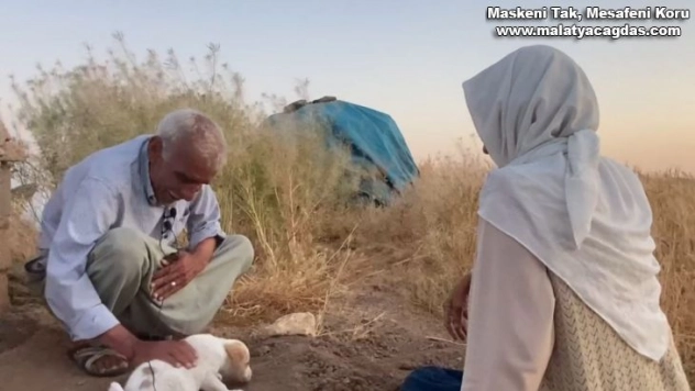 Çocuğu olmayan yaşlı çift ölen köpekleri için gözyaşı döktü