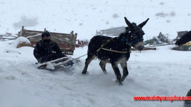 Çocukların eşekli kızak keyfi