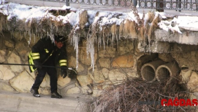 Çoruh Nehri kenarında mahsur kalan kediye itfaiye kurtardı
