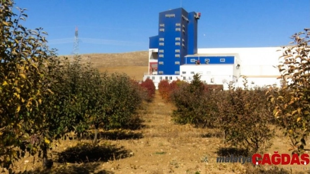 Çorum'da biyokütle enerji santrali ile meyve bahçesi yan yana