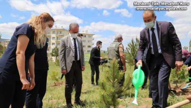 Covid-19 'la mücadelenin kahramanlarına hatıra ormanı