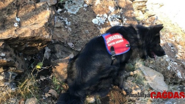 Çukurca'da EYP ve mühimmat ele geçirildi