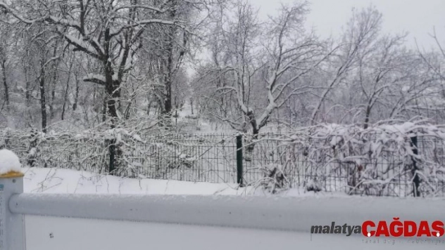 Çukurca'da kar yağışı