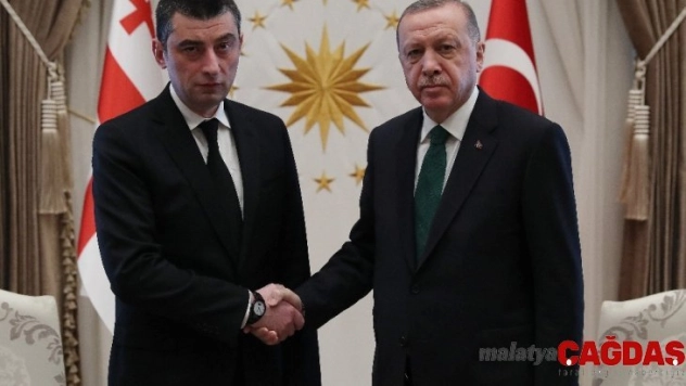 Cumhurbaşkanı Erdoğan, Gürcistan Başbakanı Gakharia ile görüştü