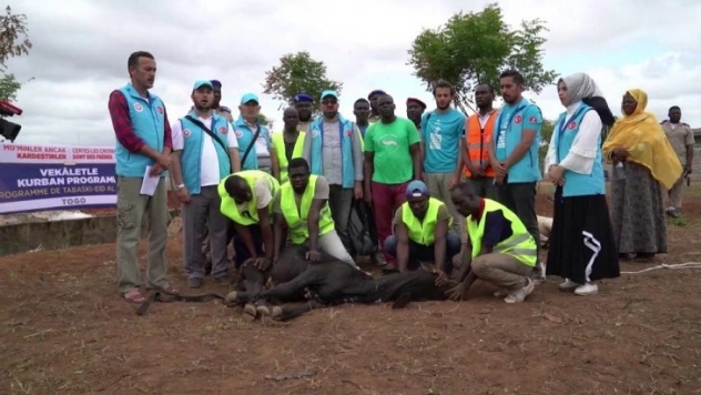 Cumhurbaşkanı Erdoğan'ın kurbanı Togo'da kesildi