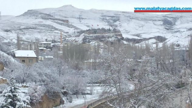Darende'de çiçek açan kayısı kara gömüldü
