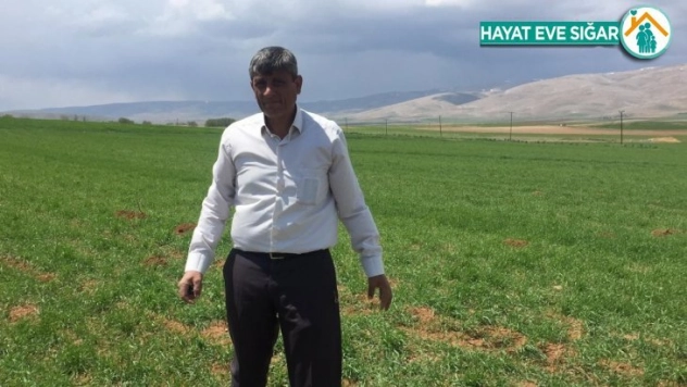 Darende'de kuraklık tehlikesi