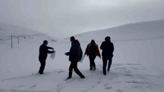 Darende'de öğretmen ve öğrencilerden yaban hayvanlarını unutmadı