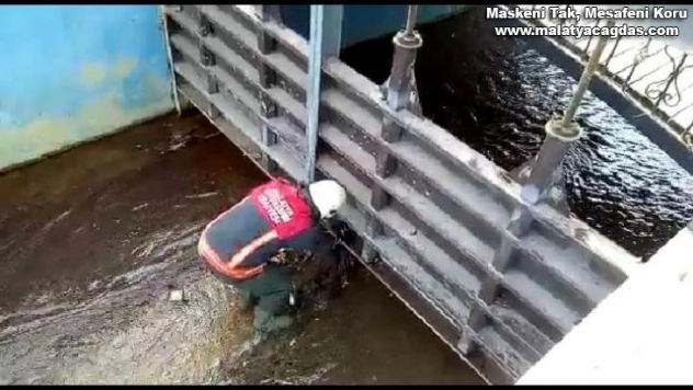 Demir korkuluklara sıkışan kediyi itfaiye kurtardı