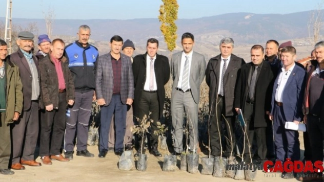 Demirci'de üreticilere ceviz desteği