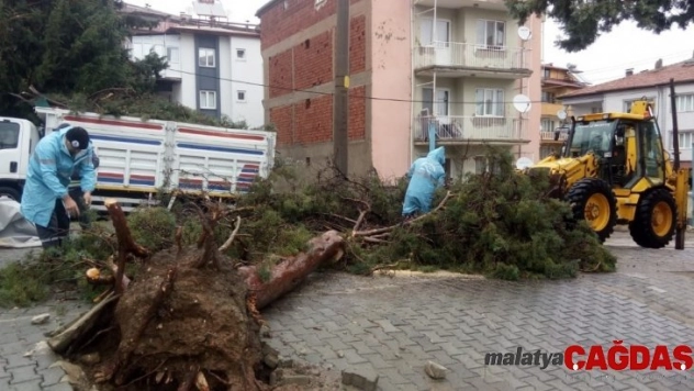 Denizli'de fırtına sonrası temizlik çalışmaları başladı