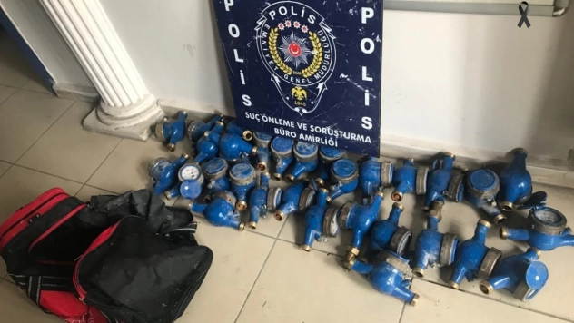 Depremzedelerin evlerine dadanan hırsızlar yakalandı