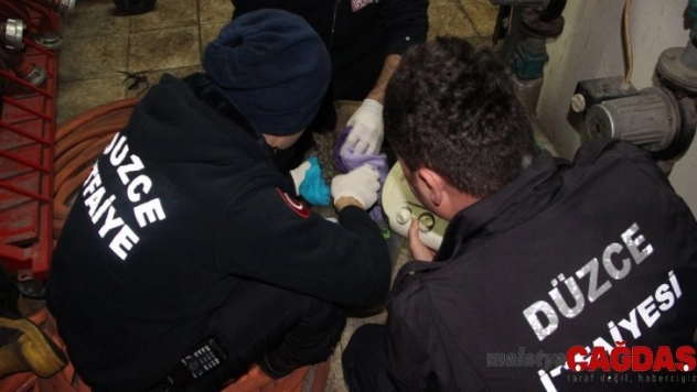 Dereden çıkardıkları yavru kediyi hayata döndürmek için bir saat uğraştılar