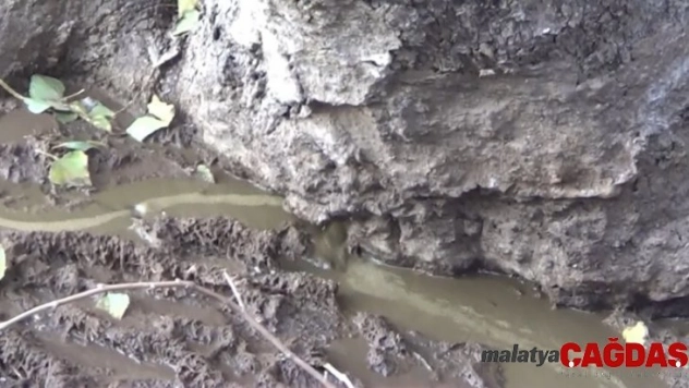 Dereye salınan hayvan atıkları mikrop saçıyor