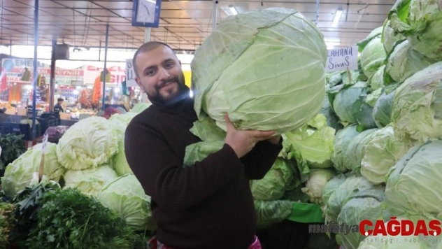 Dev lahanalar ilgi görüyor