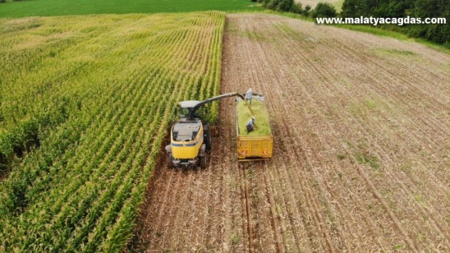 Devlet destek verdi, Bingöl'de silajlık mısır üretimi 14 bin tondan 80 bin tona ulaştı