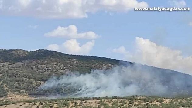 Dicle ilçesi kırsalında orman yangını çıktı