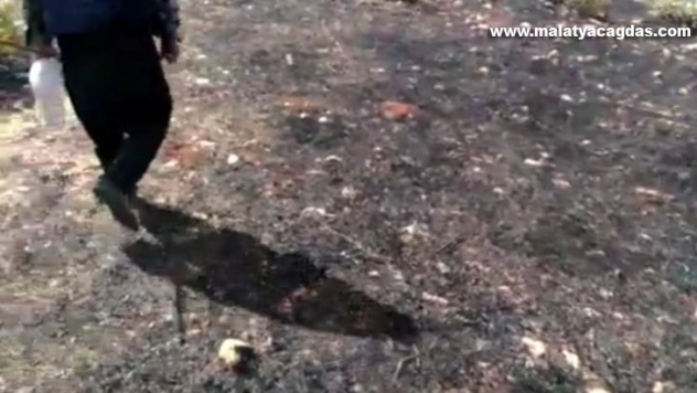 Dicle kırsalında çıkan örtü yangını söndürüldü