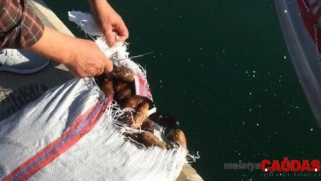 Didim'de su ürünleri ekiplerinden 54 bin TL'lik ceza