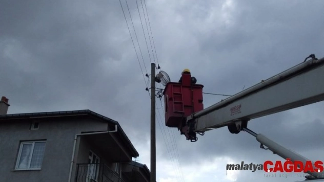 Direkte mahsur kalan kediyi itfaiye kurtardı
