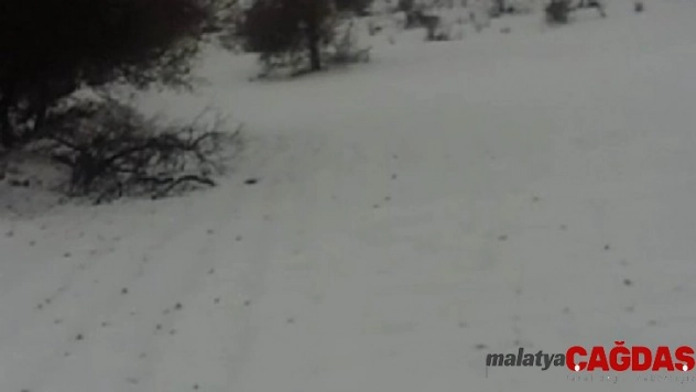 Diyarbakır'a yılın ilk karı yağdı