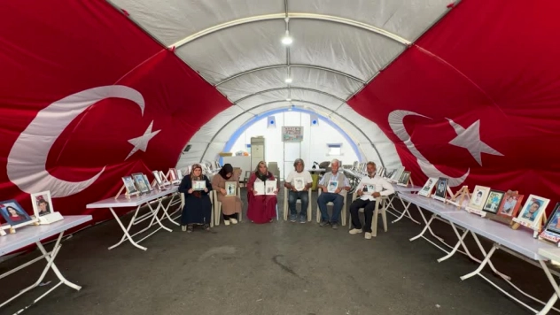Diyarbakır anneleri evlatlarını istiyor