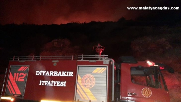 Diyarbakır Büyükşehir Belediyesi, Alanya'da yangına müdahale çalışmalarını sürdürüyor