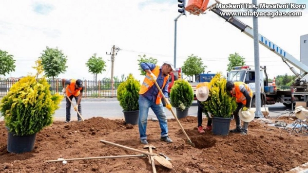Diyarbakır çiçeklerle süslendi