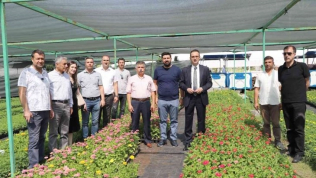 Diyarbakır'da 20 bin çam fidanı ve 500 bin mevsimlik çiçek dağıtıldı