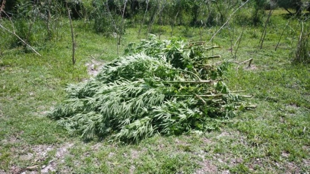 Diyarbakır'da 23 şüpheli gözaltına alındı