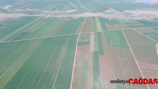 Diyarbakır'da 40 bin 550 dekar alan toplulaştırıldı