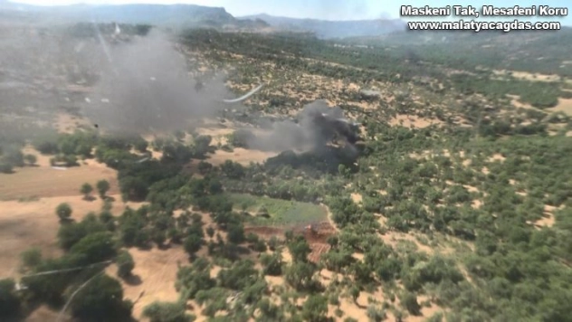 Diyarbakır'da dev uyuşturucu operasyonu: 2,5 milyon kök kenevir ele geçirildi, 26 kişi gözaltına alındı